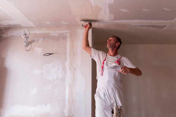 Scenic Oaks, TX Drywall and Painting Service Company